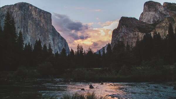 Ruhiger Waldweg mit sanftem Licht und natürlicher Umgebung